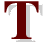 Elegant T design with red accents
