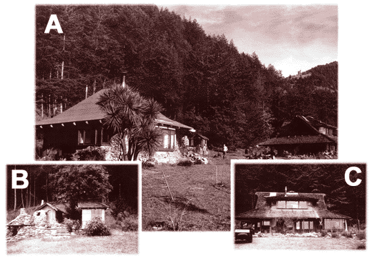 devall_pad.gif (57302 bytes)